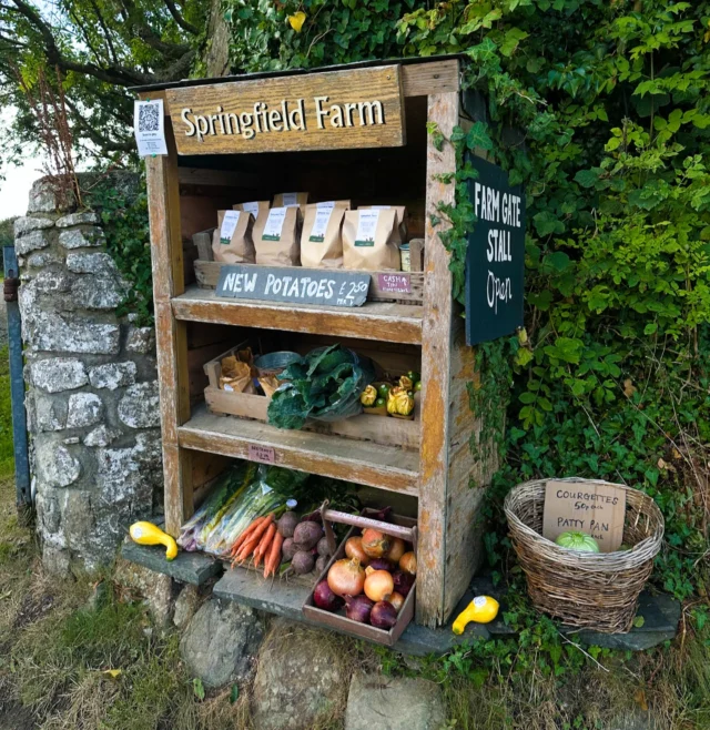 Lots of autumn flavours will be appearing on the stall soon…. Not long before squash and pumpkin time! 

#littlehaven #broadhaven #pembrokeshire #marketgarden #vegetables #smallfarm #homegrown #kitchengarden #springfieldfarmgate