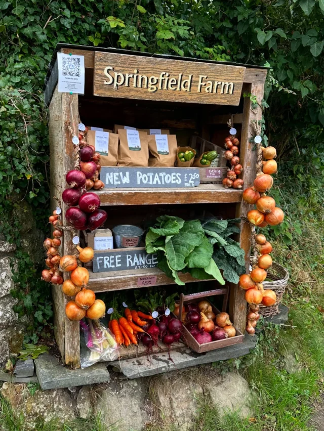Weekend veggie goodness on the stall. Shallot plaits and thousand head kale added to the mix today. 

Courgettes are coming towards the end now, but still producing a few. Knocking up a courgette quiche today to try and recapture some of that summer feeling, that seems like a distant memory now!

#littlehaven #broadhaven #springfieldfarmgate #vegetables #marketgarden #homegrown #eatlocal #farmgate #localfood #kitchengarden